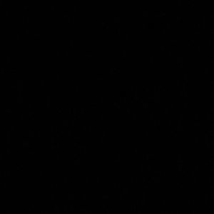 Meet your Posher, Layla